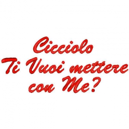 Ricamo con frase "Cicciolo ti vuoi mettere con me?"