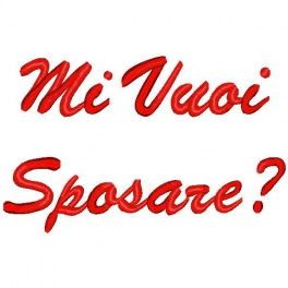 Frase con ricamo "Mi vuoi sposare?"