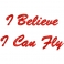 Cuore con frase ricamata "I belive I Can Fly"